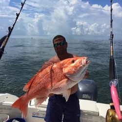 Biloxi's bounty: Red Snapper beauty.