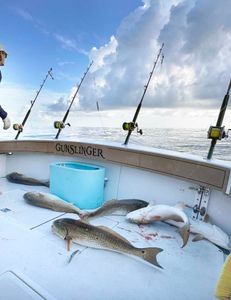 3 redfish caught fishing in MS