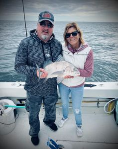 Hooked on Black DRUM FISHING. Biloxi style!
