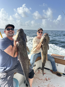 Hooked a couple of big Atlantic Sailfish while testing our skills across multiple techniques on the high seas!