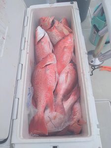 Two fishermen enjoying a day of fishing in Biloxi