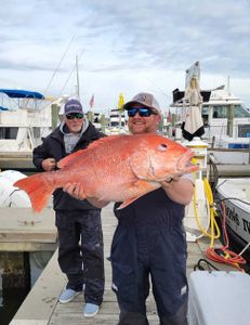 1 big fish caught while fishing in MS