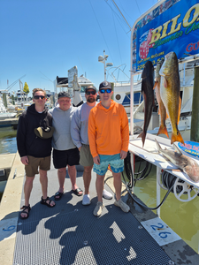 Gone fishin' and brought home a nice haul.