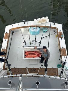 Lone angler fishing in Biloxi