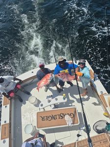 2 fish caught in MS