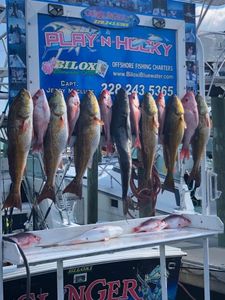 7 redfish caught in MS