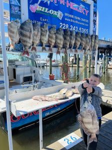 7 sheepshead fish caught during fishing trip in Biloxi