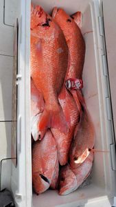 2 big fish caught while fishing in MS