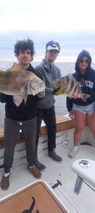 Two black drum and sheepshead fish caught in MS