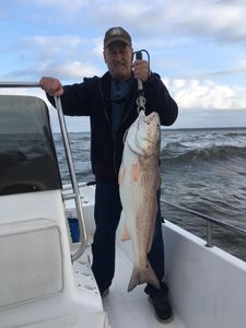 That redfish glow hits different.