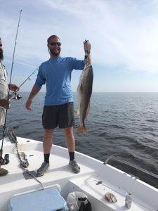 Bringing in the bull red!