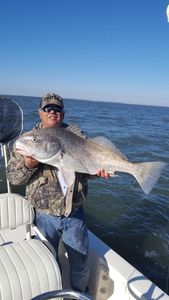 Black Drum fish caught in FL