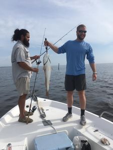 A big blue catfish caught while fishing in Florida