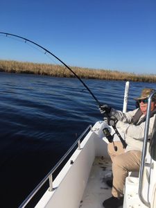 Angler fishing in Florida