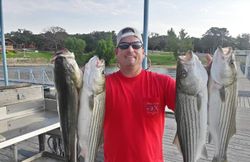 4 striped bass caught while fishing in TX