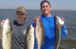 4 striped bass caught while fishing in TX