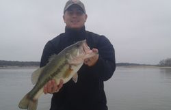 Largemouth Bass caught while fishing in TX