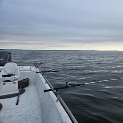 Scenic view of Pottsboro, Texas during a fishing trip