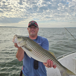Striped bass caught in Pottsboro