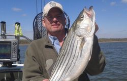 Striped bass caught fishing in Pottsboro