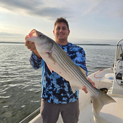 Striped bass caught while fishing in TX