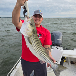 Striped bass fishing in TX