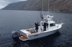 Person fishing in California