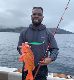 Angler fishing in CA