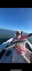 One bonefish fishing in Florida