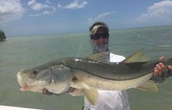 Snook fish caught by angler in Islamorada
