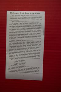 Historical document about world record brook trout caught on Nipigon River in Ontario