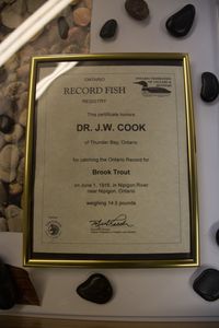 Framed Ontario record fish certificate for 14.5 pound brook trout caught in Nipigon River in 1916