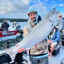 Chinook salmon caught in OR