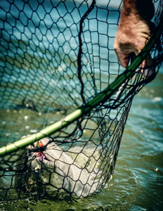 Fishing trip in Portland, Oregon
