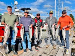 Impressive catch of 8 salmon and shad fish in OR