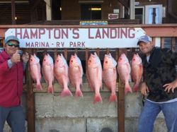 Red Snapper in Texas