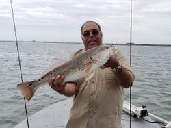 Redfish caught in Aransas Pass