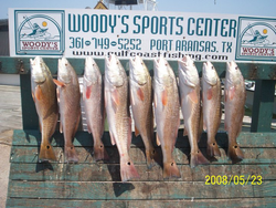 Six redfish caught at Aransas Pass