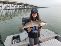 Spotted Weakfish, 24 inch fish caught while fishing in Aransas Pass
