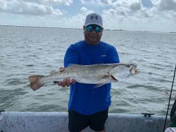Photograph of one spotted weakfish, 29 inches long, caught while fishing in TX.