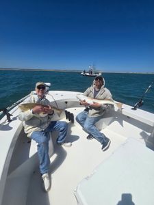 Trophy sized catches carried like a baby!
