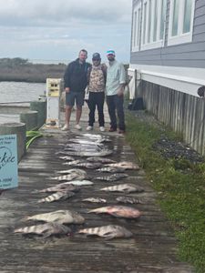Another day another boat full of fish