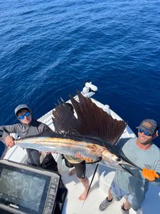 Angler with a massive Atlantic Sailfish in North Carolina