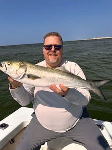Bluefish caught while fishing in NC
