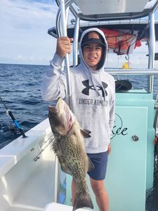 Gag grouper fishing in NC