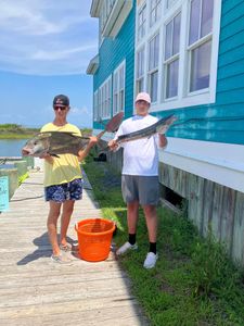 Two Greater Amberjack, a 22-inch catch, in Hatteras