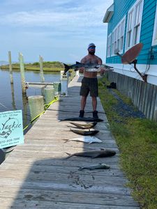 2 great barracuda, 32 inches long, fishing in Hatteras