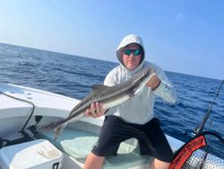 A big cobia fish caught in NC by a person fishing