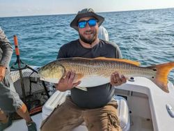 Redfish caught in Hatteras while fishing