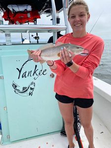 Redfish caught in Hatteras by fisherman